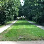 Eichhorn