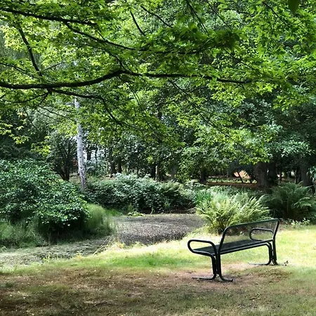 Eichhorn Breege